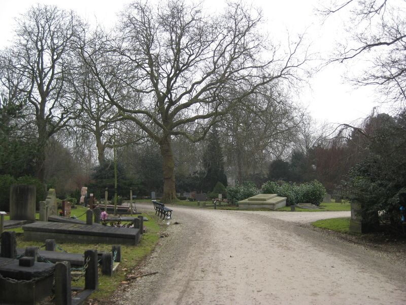 ملف:De Nieuwe Ooster Parkaanleg.JPG