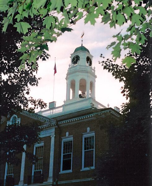 ملف:Exeter Tree Halo.jpg