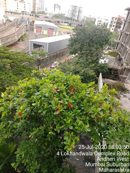 ملف:Metro View-Andheri West-DN Nagar.jpg