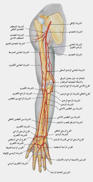 ملف:Part1.jpg