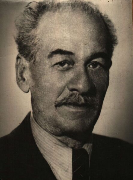 ملف:BASA-1154K-1-344-76-Panayot Pipkov.JPG