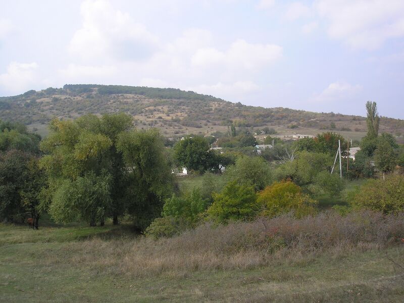 ملف:Cheremisovka 2.JPG