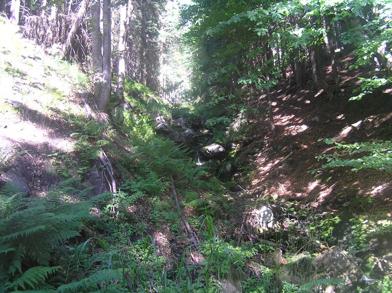 ملف:Chrastický potok.JPG