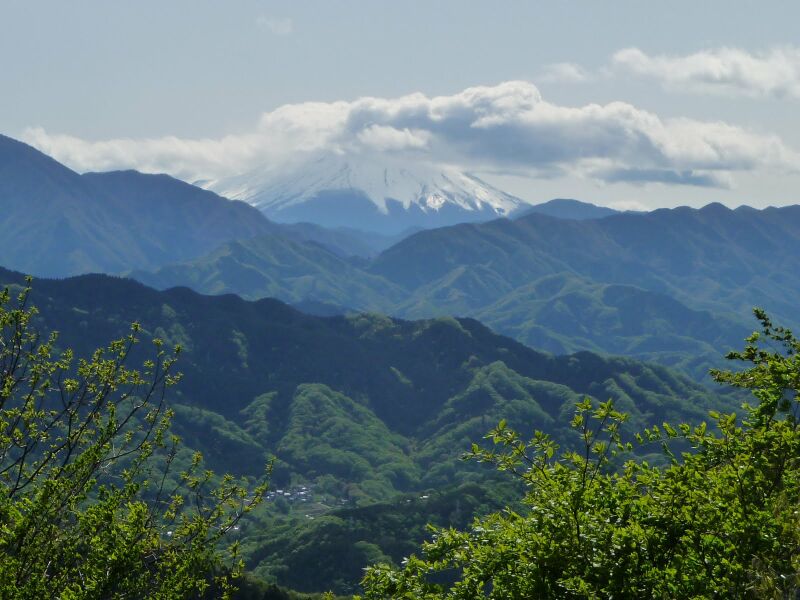 ملف:Fuji from Takao 1.JPG