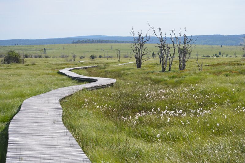 ملف:Helle River 01.jpg