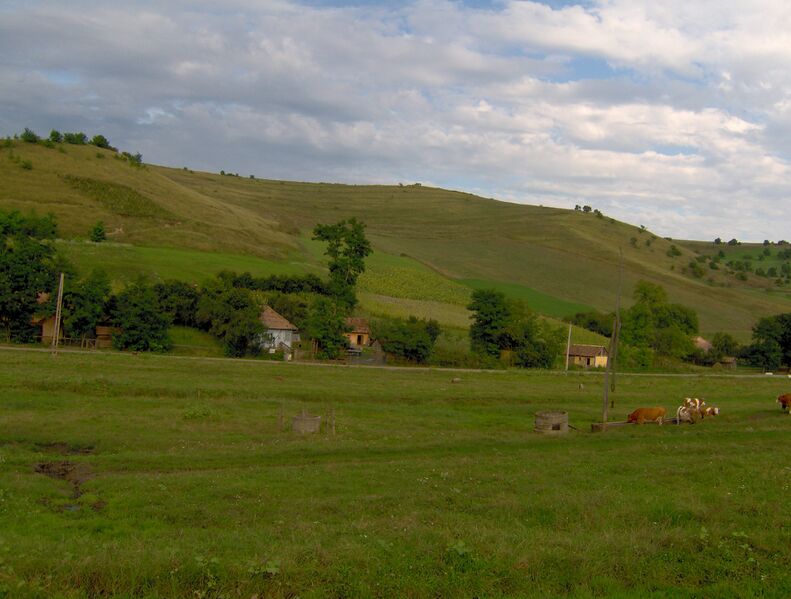 ملف:Saulita Mures RO.jpg