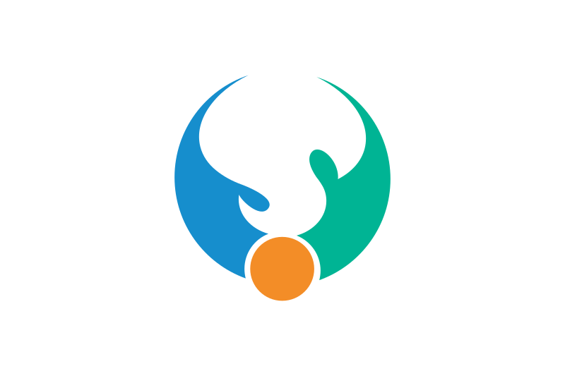 ملف:Flag of Shibushi, Kagoshima.svg