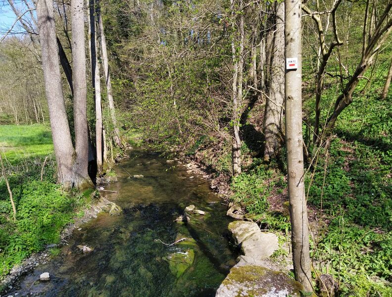 ملف:Klöpferbach Schöntal.jpg