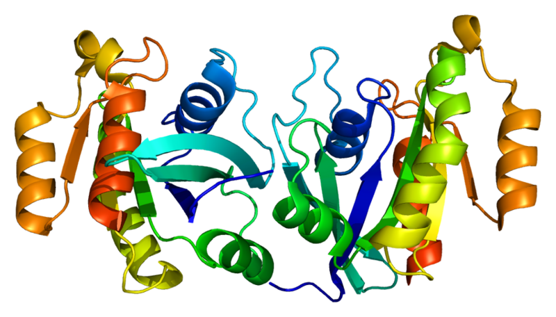 ملف:Protein RAB11A PDB 1oiv.png