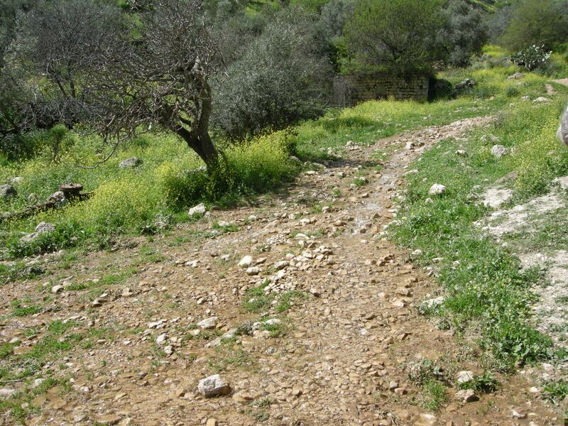 ملف:Rosh Pina3271.JPG