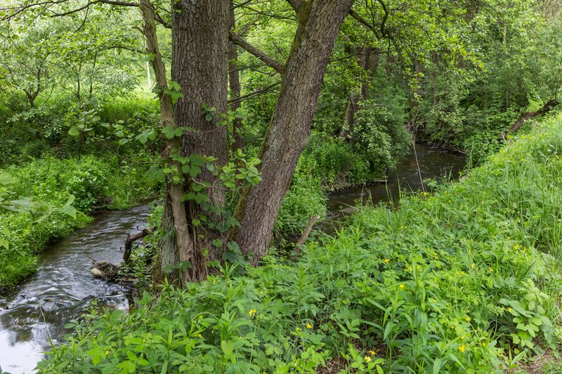 ملف:Struga Lubicka (03).jpg