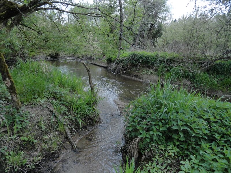 ملف:Aubach Muendung in Kinsach.JPG