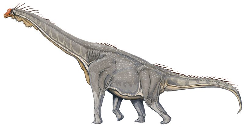 ملف:Brachiosaurus DB.jpg