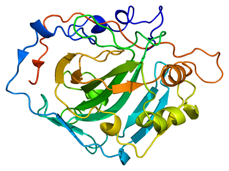 ملف:Protein CA1 PDB 1azm.png