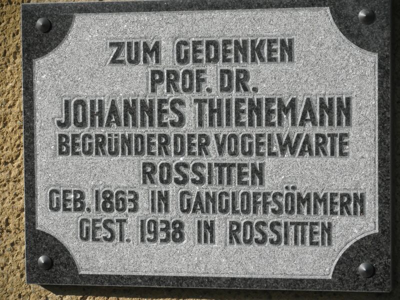 ملف:Gangloffsömmern Thienemann.JPG