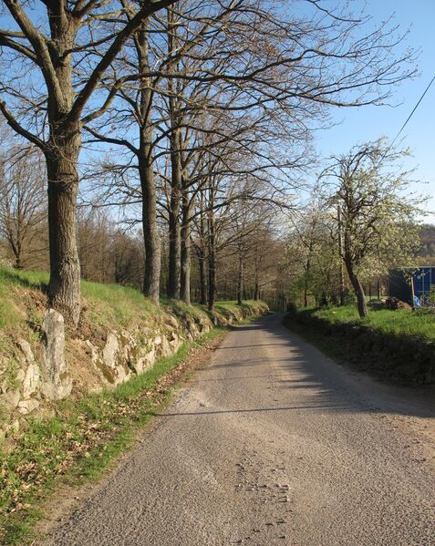 ملف:Kvašťov (Sedlec-Prčice), cesta VI.jpg