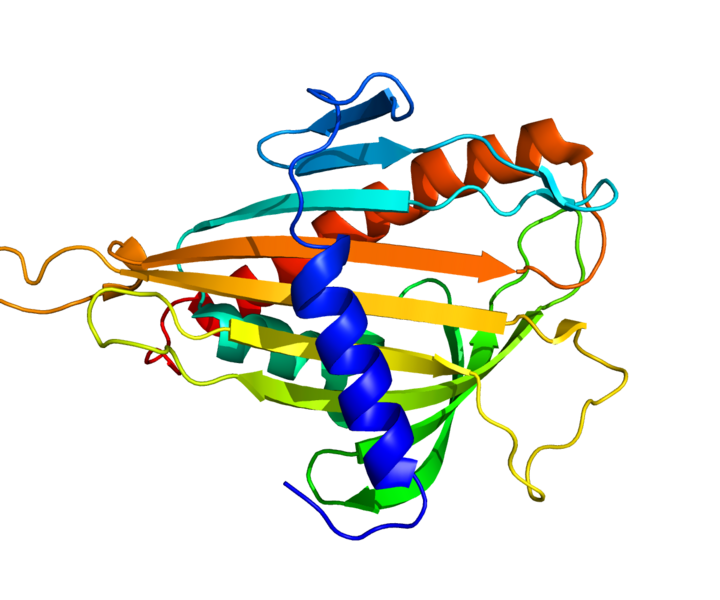ملف:Protein COL4A3BP PDB 2E3M.png