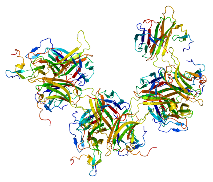 ملف:Protein TNFRSF13C PDB 1oqe.png