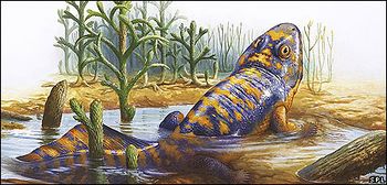 Unknown creature2010.jpg