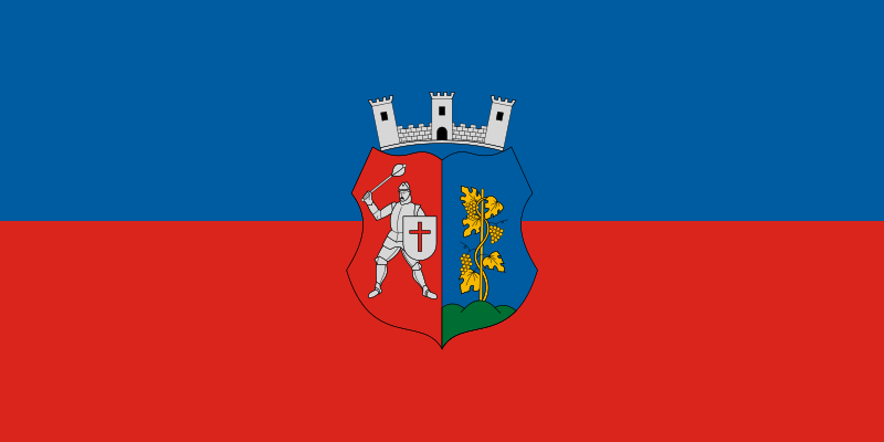 ملف:Flag of Csabrendek.svg