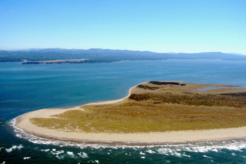 ملف:Leadbetter Point.jpg