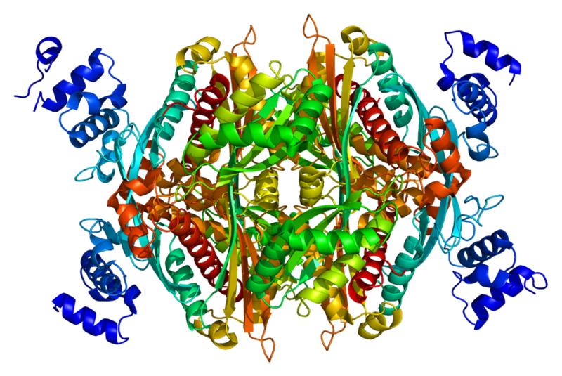 ملف:Protein HMGCR PDB 1dq8.png