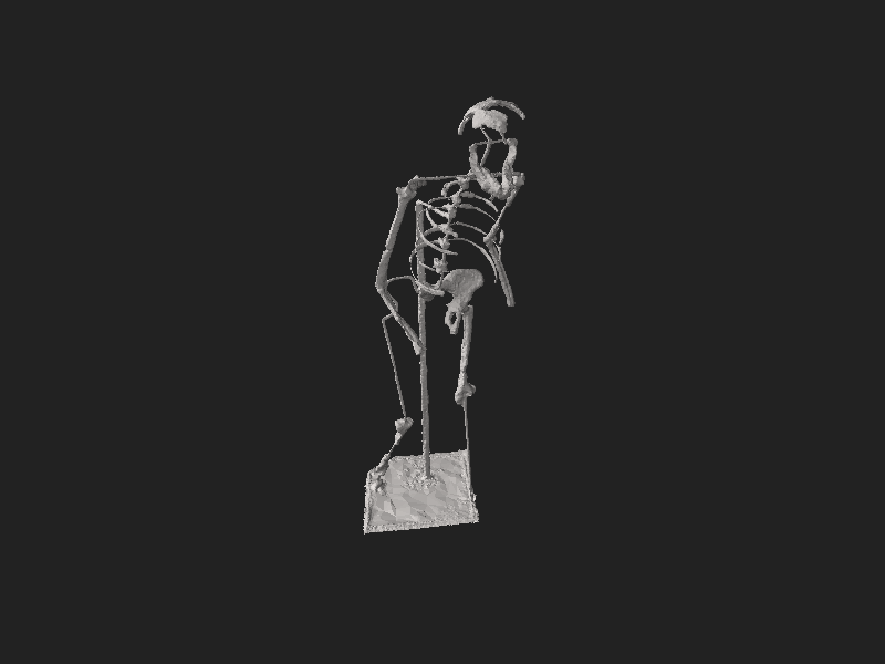 ملف:Cast of the skeleton of Lucy at MHNG-High poly.stl
