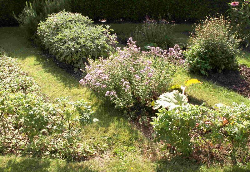 ملف:Domestic herbal patch rectangularpattern.JPG