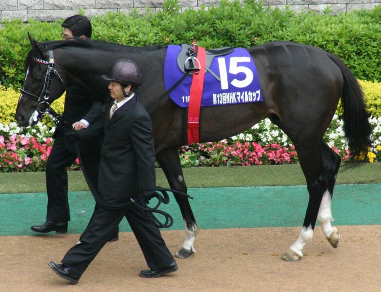 ملف:Faridat 20080511P1.jpg