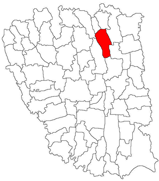 ملف:Jorasti jud Galati.png