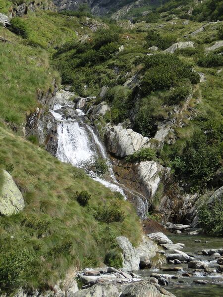 ملف:Nero fiume 03.JPG