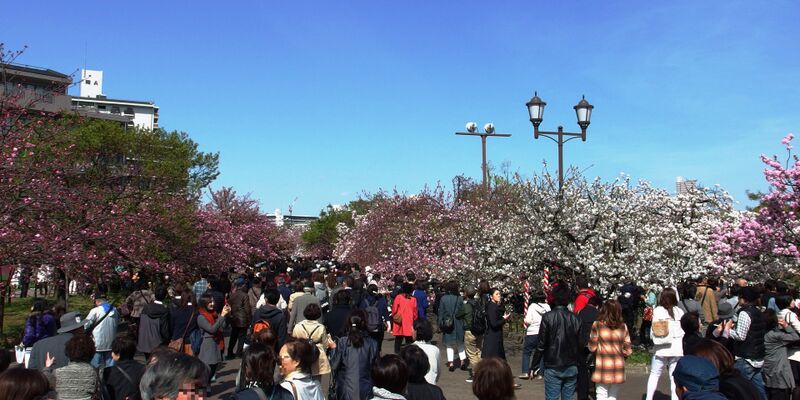 ملف:"TORINUKE" in 201604 003.JPG