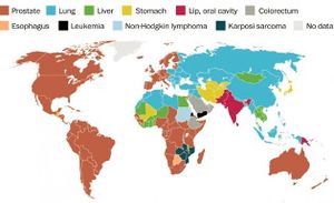 السرطانات الشائعة عالميا بين الذكور في 2017.