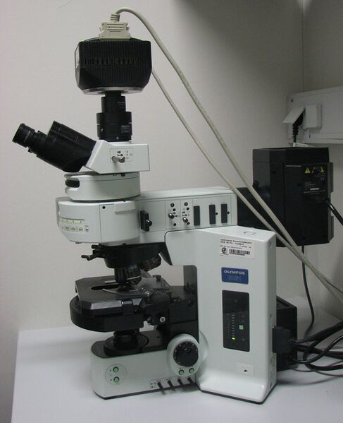 ملف:Olympus-BX61-fluorescence microscope.jpg