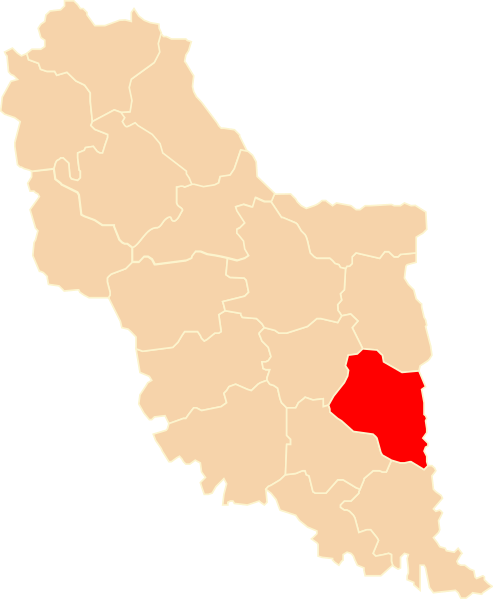 ملف:POL powiat kopyczyniecki map.svg