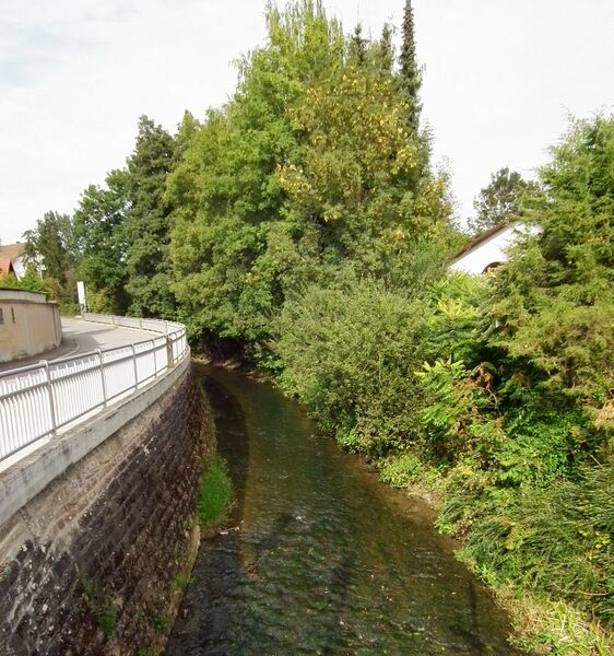 ملف:Schwarzbach in Neidenstein.JPG