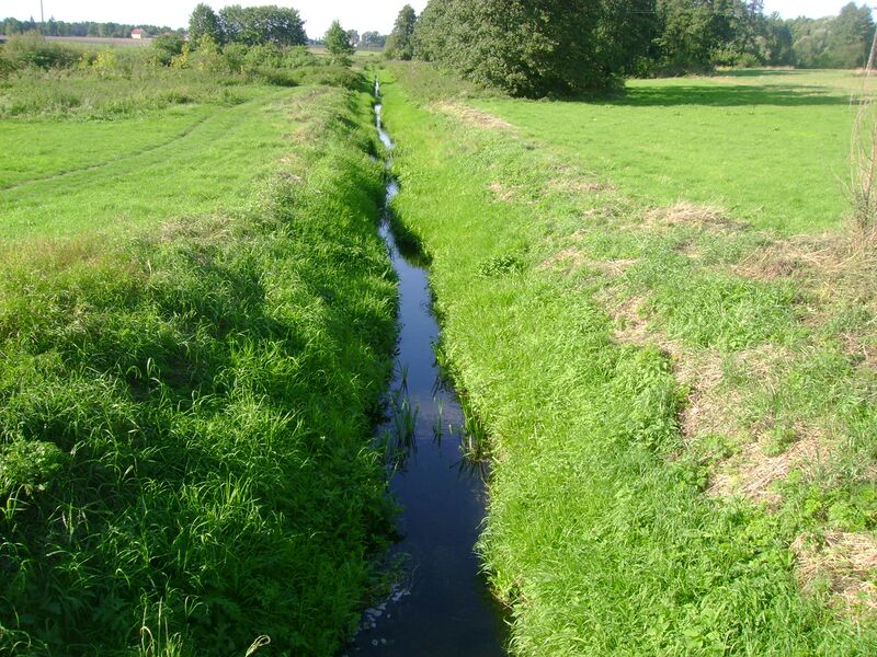 ملف:Toczna river.JPG