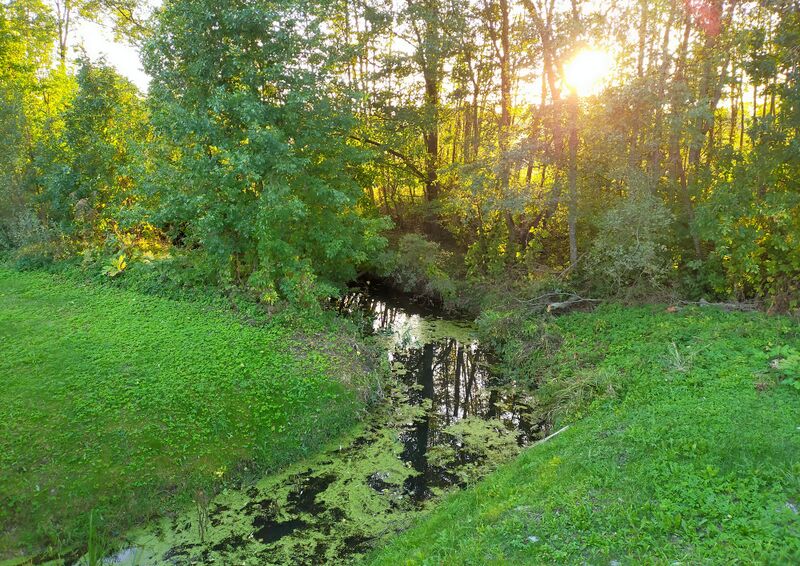 ملف:Zareznitsa River.jpg