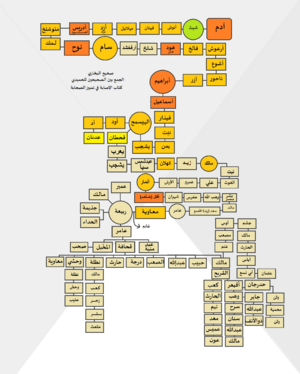 شجرة قبيلة معاوية .png