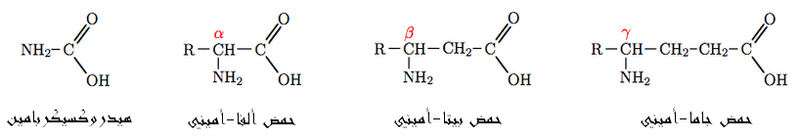 ملف:Aminacid-ar.PNG