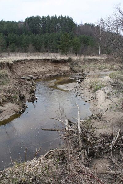 ملف:Armena 2009 balandis 01.jpg