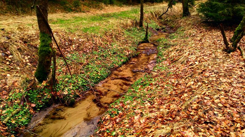 ملف:Bynovecký potok.jpg