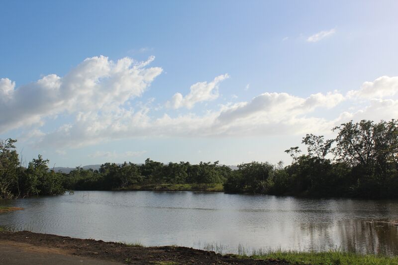 ملف:Culebrinas IMG 0850.jpg