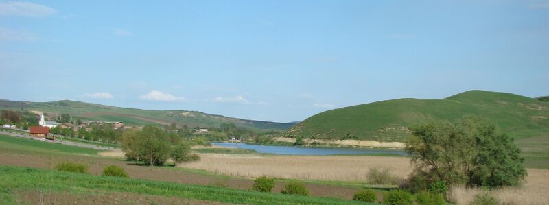 ملف:GeacaCJ (6).JPG