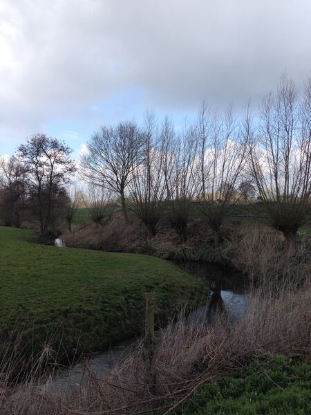 ملف:Kreuzbach Werse.JPG