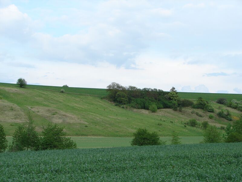 ملف:PR Mušenice (2).JPG