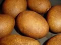 تصغير للنسخة بتاريخ 10:19، 5 سبتمبر 2017