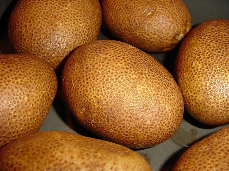 ملف:Russet potato.jpg