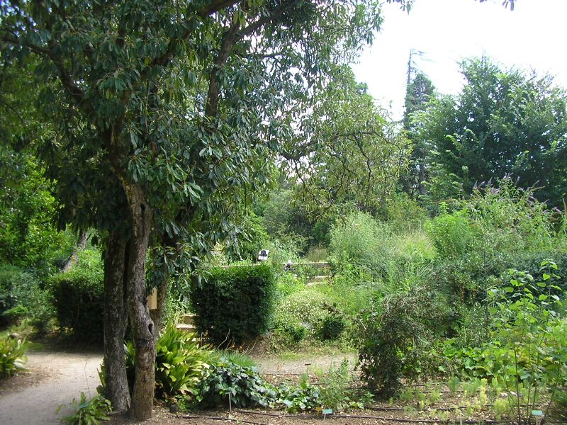 ملف:Sérignan (12).JPG