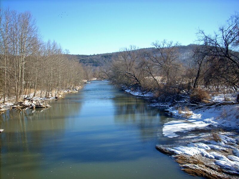 ملف:Cowanesque River.jpg